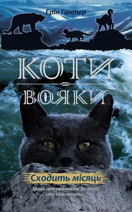 Коти-вояки. Сходить місяць. Цикл 2 частина 2