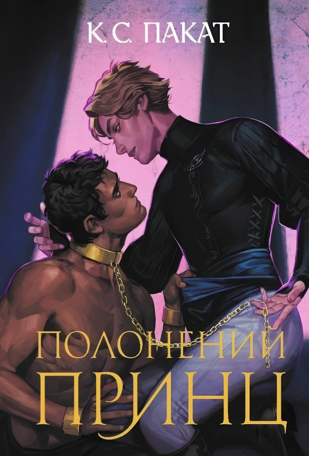 Полонений принц Книга 1 Роман (зріз)