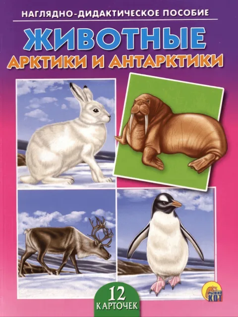 Тварини Арктики та Антарктики