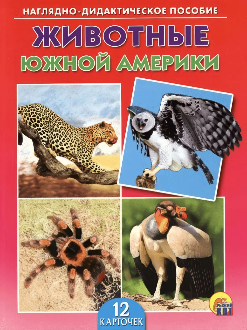 Тварини Південної Америки